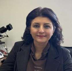 Sibel ULCAY