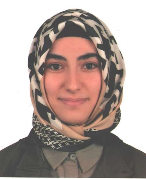 Elif ÇÖMLEKÇİ MEMİŞ
