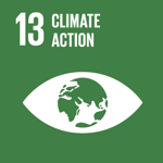 Goal 13: Climate action